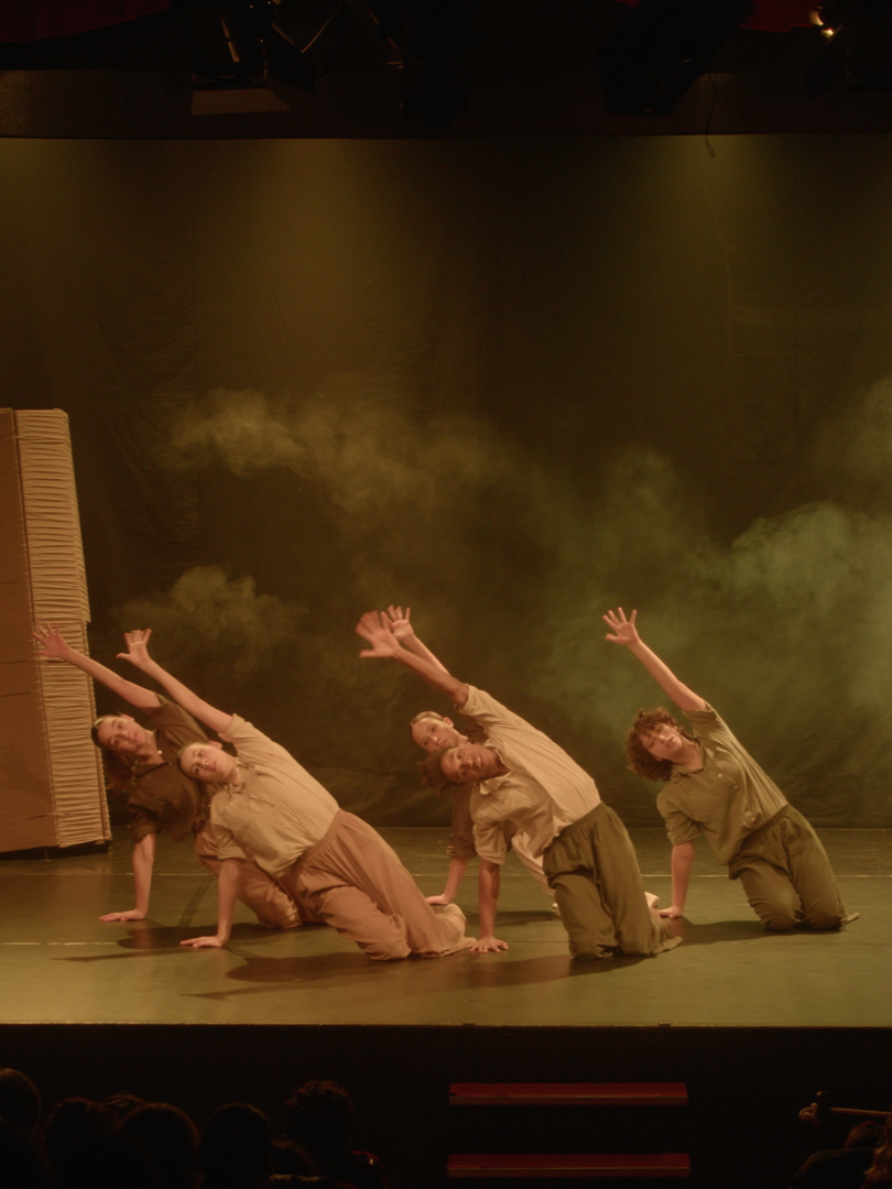Enregistrament de ballet